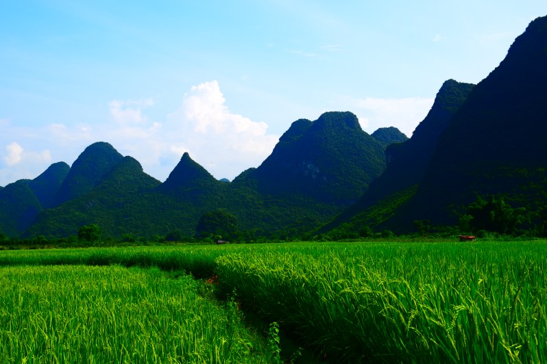 Chengdu_Guilin_Suzhou_01 481