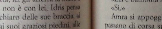 foto libro a metà