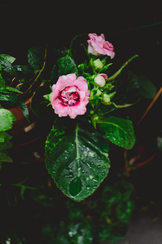 Castelvetro Photo L&V Photography © www.civico30.net