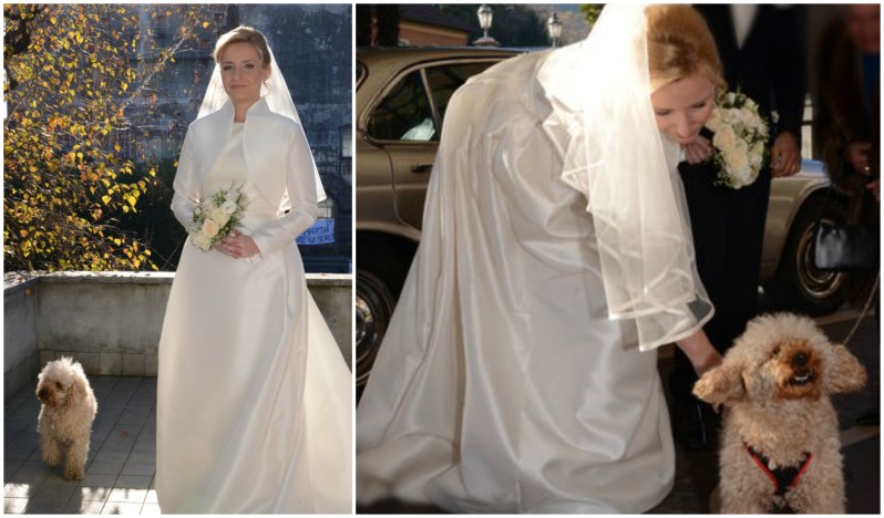 Photo Mauro Borzini il cane al matrimonio