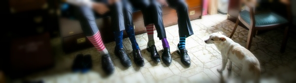 Photo Matteo Vitagliano _ matrimonio con l'amico a 4 zampe