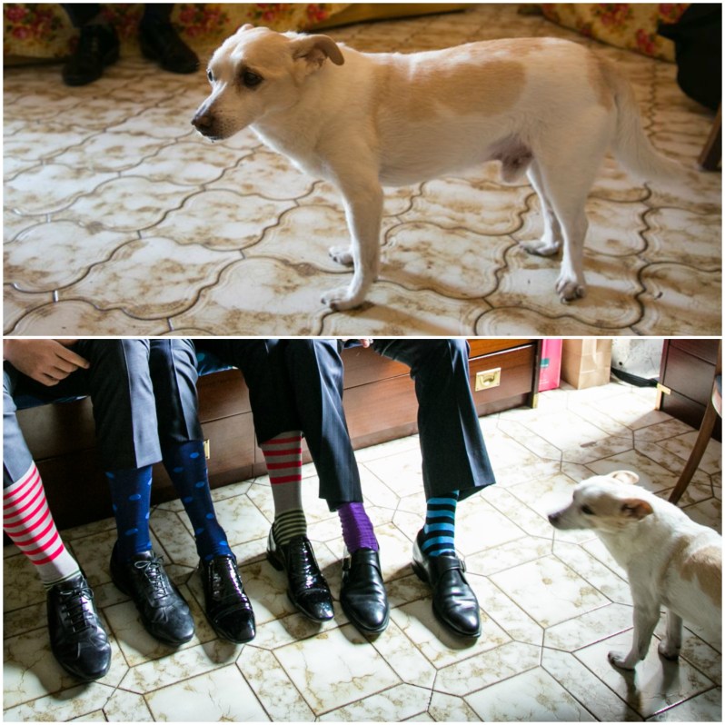 Photo Matteo Vitagliano matrimonio preparativi con il cane