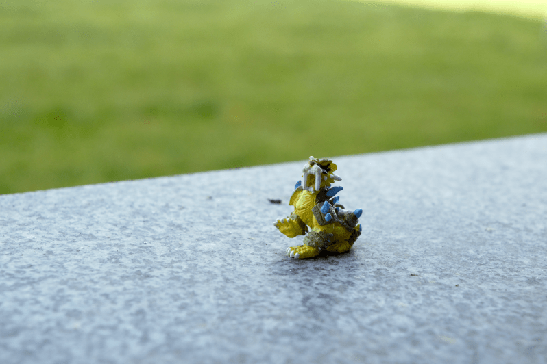 drago1 - dettagli civico30