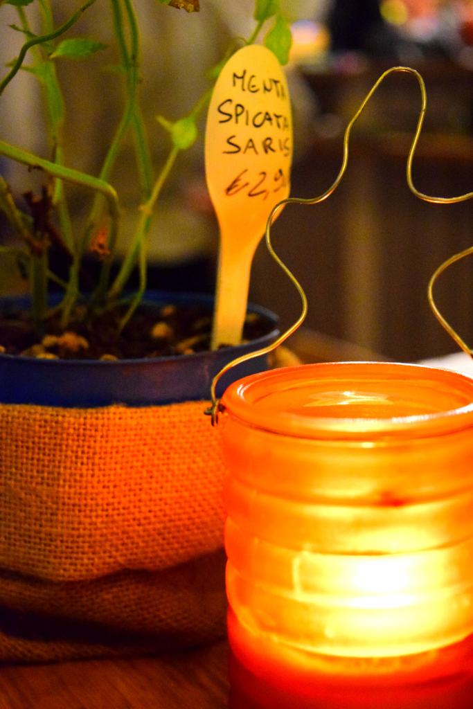 orto erbe e cucina milano5-civico30