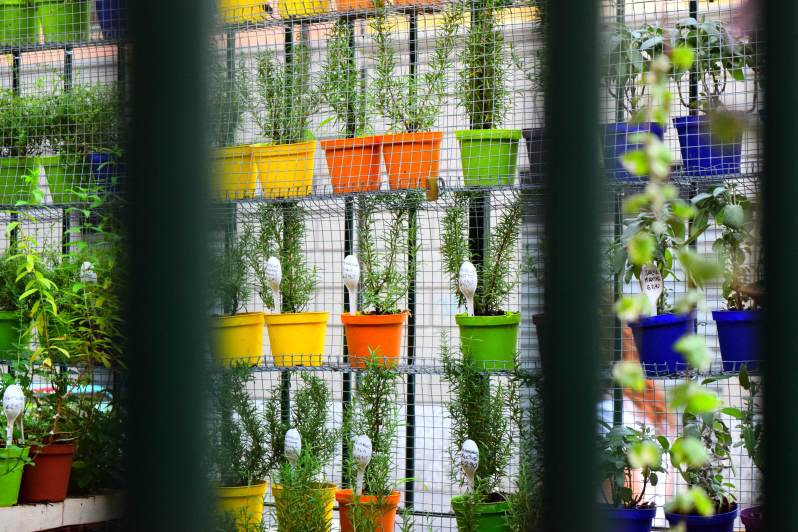 ortoecucina milano3 - civico30