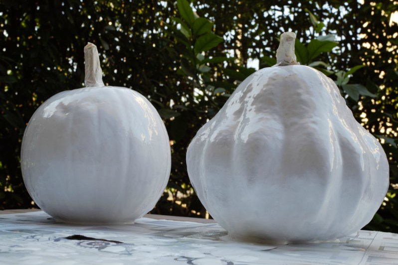 ZUCCHEBIANCHE_civico30