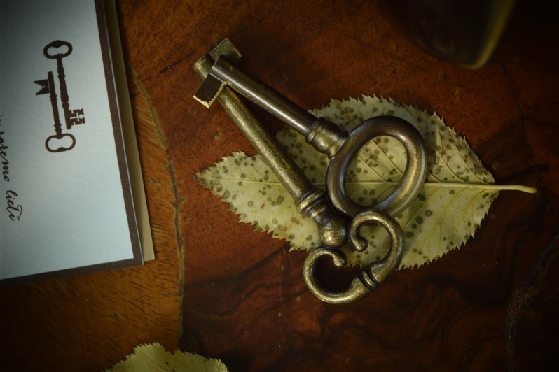 PS SECRET GARDEN_12_un Cucno di Felicità