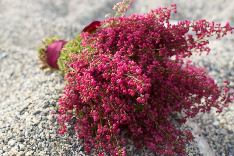 anniversary shooting_ a modo wedding16