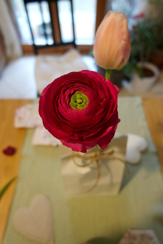 ranuncolo san valentino